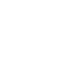 Truck and Bus